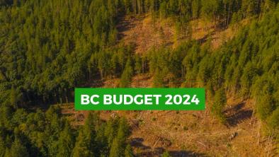 A shot of clearcuts in an old-growth forests. Text over the image says "BC Budget 2024". End of image description. 