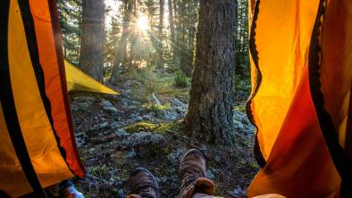 Two boots being laced up through the door of a tent with an old forest and a sunrise outside.