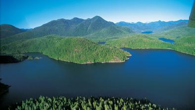 Aerial shot of a deep blue lake surrounded by dense green forest