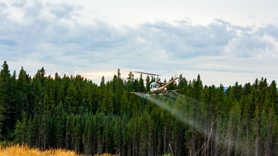 Aerial spraying of herbicide 