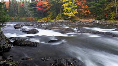 A river flows over slick black stone through a forest that is brightly colored with vibrant reds and yellows.