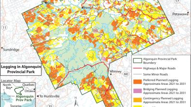 A map of logging activity in Algonquin Provincial Park