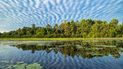 A photo taken over lake tranvers in Algonquin Provincial Park. The sky is bright blue and striped with white clouds. The forest on the opposite bank is green and verdent. The glassy water mirrors it all.