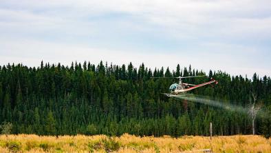 A shot of a helicopter spraying glyphosate over West Fraser cut blocks in Alberta.