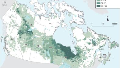 Peatland Distribution Across Canada Map