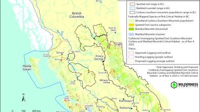 Map of Approved, Pending & Proposed Cutblocks in Federally Mapped Spotted Owl, Southern Mountain Caribou and Marbled Murrelet Critical Habitat in BC