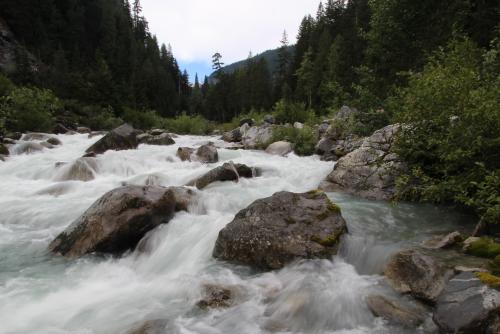 A rushing river flows over rocks between forested mountains
