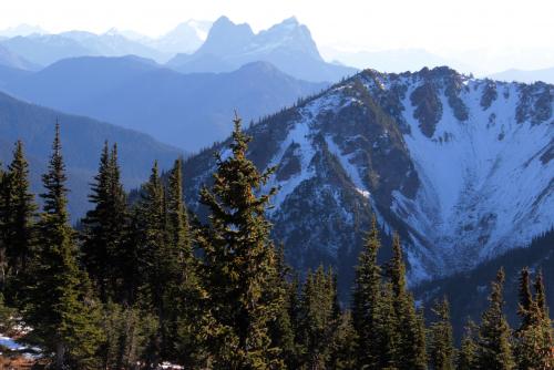 The coast mountain range as seen from Silverdaisy Peak; with subalpine forest in the foreground