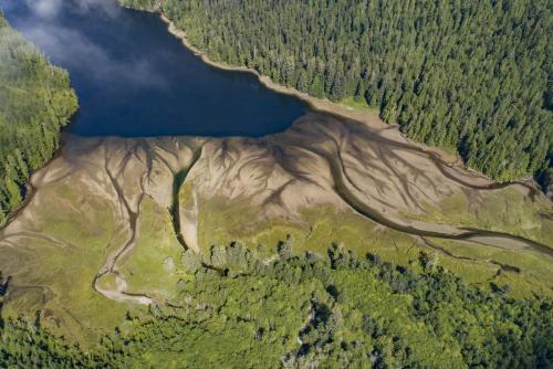 Aerial view of Nootka Island, with a river delta emerging from the forests