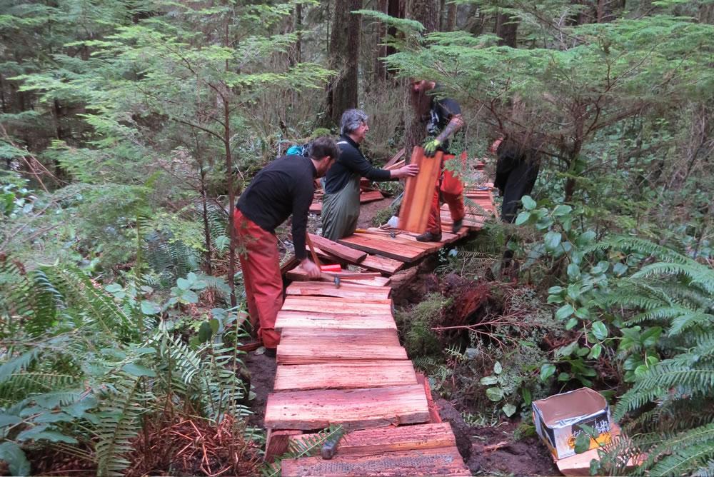 Volunteers build a cedar-plank board walk in a west coast forest.
