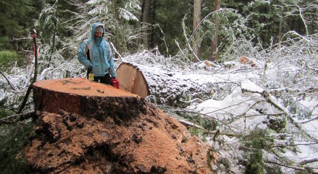 Photo: Wilderness Committee