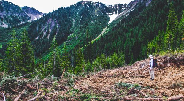 Logging road in the middle of Manning and Skagit Provincial Parks