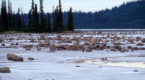 Wood Buffalo National Park