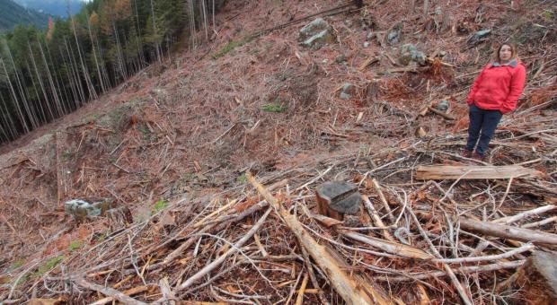 Karen Creek Wildlife Habitat Area for Spotted Owl