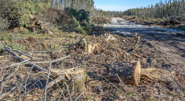 frack sand mine road clearrcut; Hollow Water First Nation; Manitoba