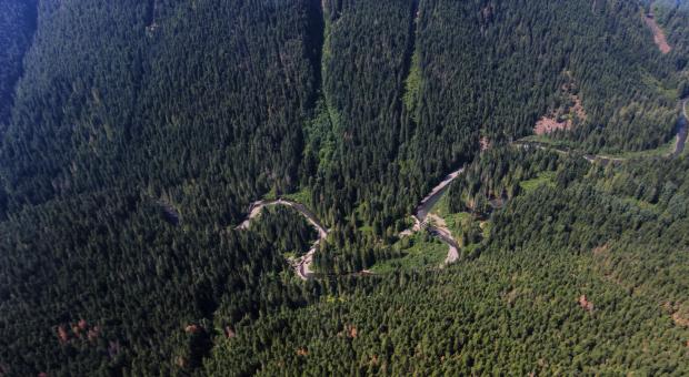 Skagit River