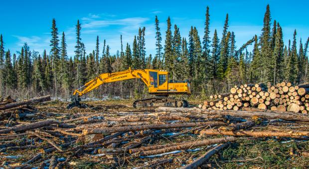 Logging machines in Duck Mountain Provincial Park