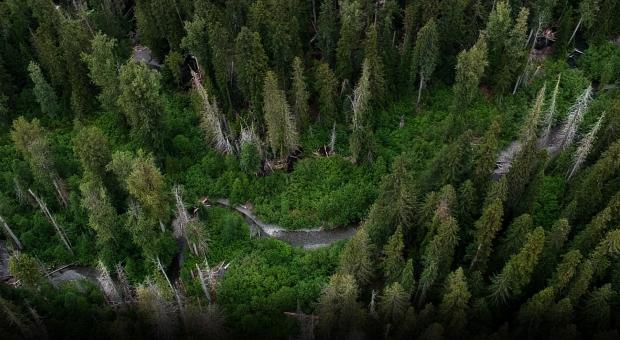 Skagit headwaters in Manning Provincial Park, BC