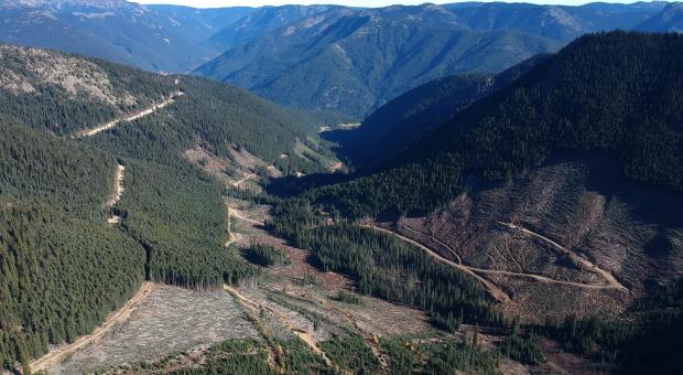 Upper Smitheram Valley where Imperial Metals wants to drill for gold in the Donut Hole.