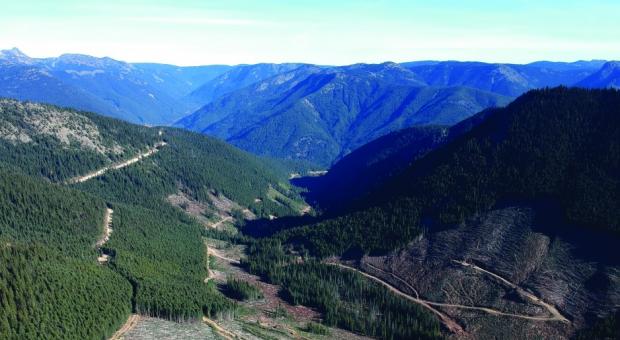 Plans for renewed logging and mining near E.C. Manning and Skagit Valley provincial parks are raising fears of environmental damage on both sides of the Canada-U.S. border  