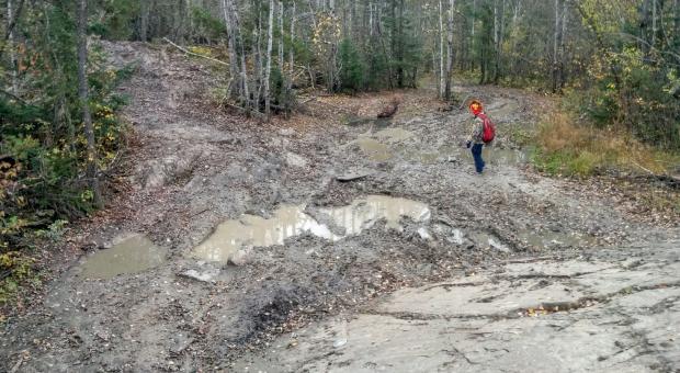 Wrecked trails in Nopiming Provincial Park