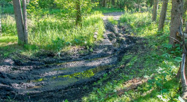 Tired destroyed by ATV tire tracks in Nopiming Provincial Park, 2016