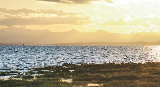 The Fraser Estuary, an area at risk because of the proposed Roberts Bank Terminal 2 Project.