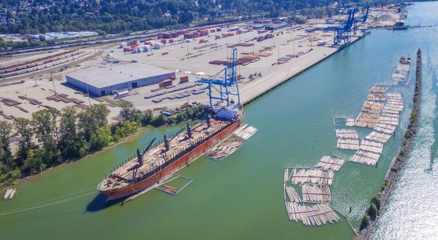 Raw logs ship at Surrey Docks.