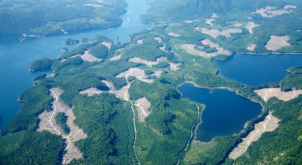 Aerial view of British Columbia forestry clear cuts. Photo by Sam Beebe / CC BY 2.0, cropped from original
