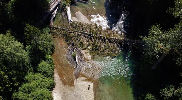 Log jam on the Chilliwack River. Wilderness Committee file photo.