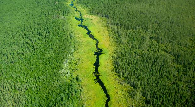 Caterpillar creek from the air.