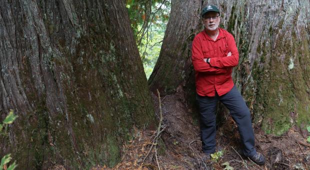 Protected Areas Campaigner Joe Foy standing by old-growth red cedar trees in spotted owl habitat in the Spuzzum Valley