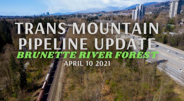 Trans Mountain Pipeline corridor in the Brunette River Forest