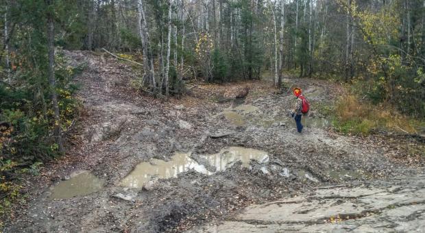 Wrecked trails from all-terrain vehicles in Nopiming Provincial Park