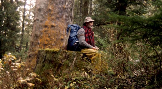 Don sitting on a mossy stump in a forest