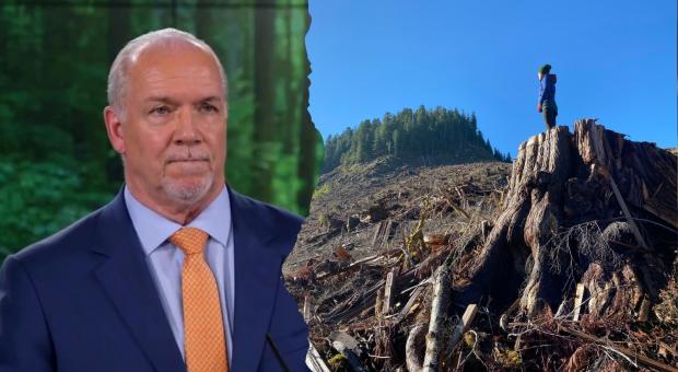 Left: BC Premier John Horgan. Right: Campaign Organizer Emily Hoffpauir standing on a huge stump in a clear cut.