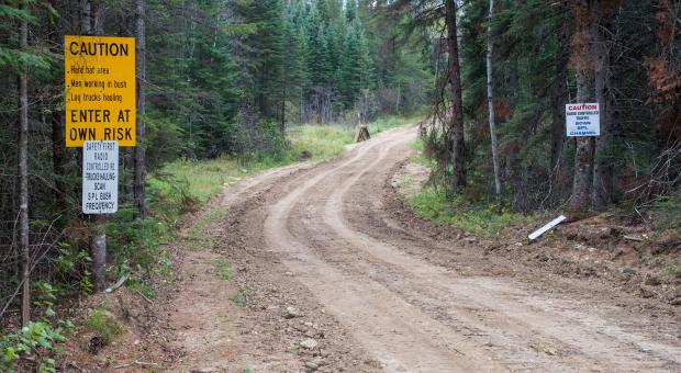 Logging road gate constantly left open in Duck Mountain Park