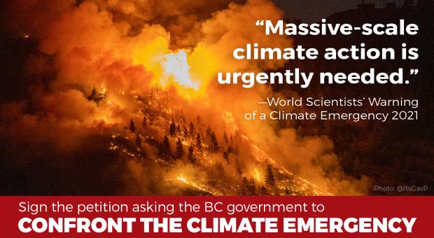 A wildfire background with the words "Massive-scale climate action is urgently needed," and "Confront the climate emergency."