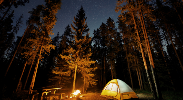 tent in the woods at night