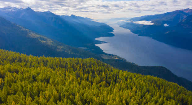 Sun shining down on Argenta Face Forest and Kootenay Lake.