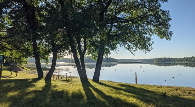 The sunlight filters through two trees with green leaves over a small section of a large lake in Turtle Mountain Provincial Park.