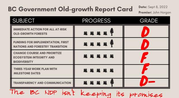Old-growth report card