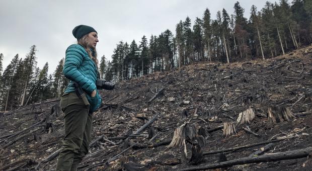 Charlotte Dawe visits a slash and burn old-growth logging site next to core caribou habitat in the Bigmouth Valley, North of Revelstoke, B.C. Photo credit: Alex Tsui, Wilderness Committee