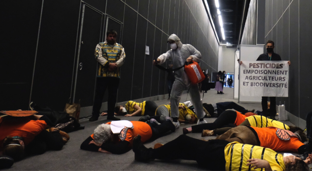 Protestors dressed as pesticide sprayer and dead pollinators. End of image description. 