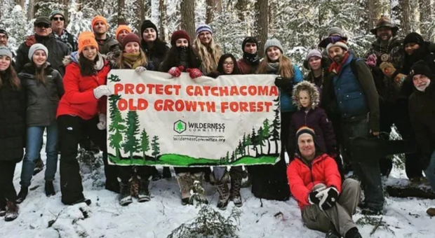 A group of people holding up a banner that says "Protect Catchacoma Old Growth Forest." End of image description.