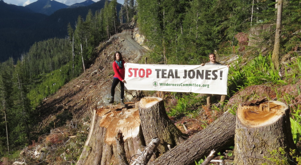 Two people standing in a recently logged forest, holding a banner that says "Stop Teal Jones." End of image description. 