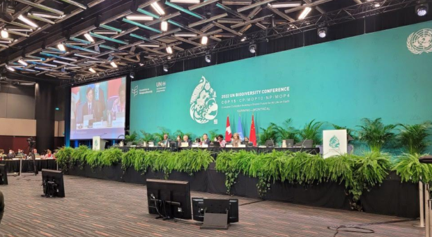 A group of people sitting at a panel in front of a large COP15 sign. There are several TV screens and lighting around them. End of image description.