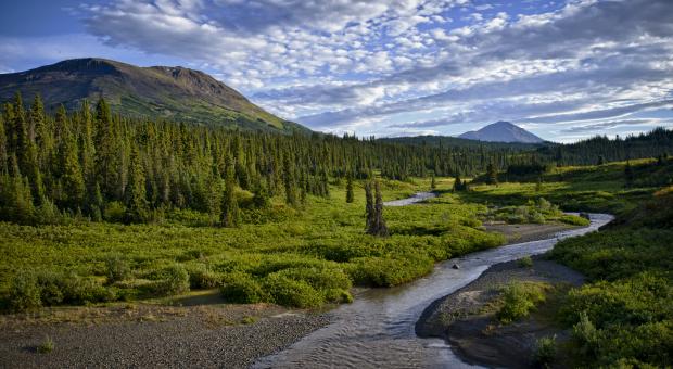 Klappan Mountain & Little Klappan River, Stikine River Headwaters, Skeena Mountains, British Columbia, Canada