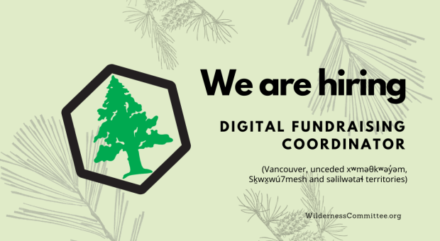 Shadow images of pinecones and other leaves with logo of the Wilderness Committee. Text says "We are hiring, digital fundraising coordinator." End of image description.