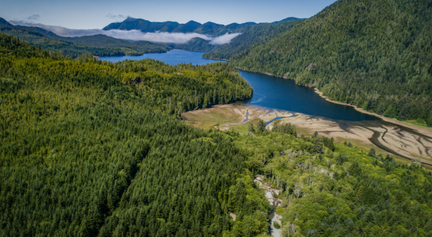 An aerial shot of Nootka Island on Nuchatlaht territory. End of image description. 